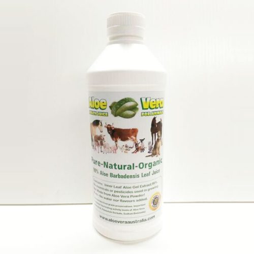 Aloe Vera Animal