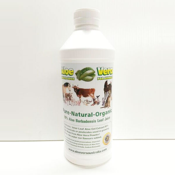 Aloe Vera Animal