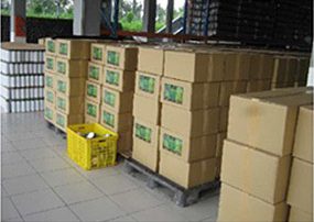 Cardboard boxes of packaged aloe vera products stacked on pallets.