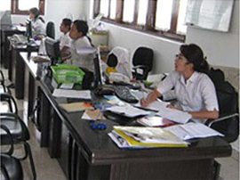 Office staff aloe vera wholesale working at desks with computers and documents