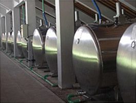 Stainless steel industrial tanks for aloe vera processing facility.