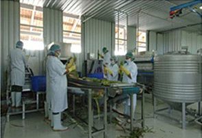 Factory worker working on production line