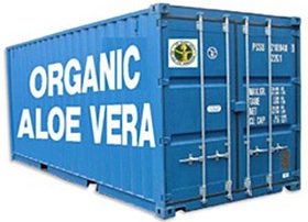 shipping container labeled Organic Aloe Vera for export.